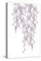 Weeping Willow Mauve Splash 1-Urban Epiphany-Stretched Canvas