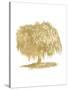 Weeping Willow Tree Golden White-Amy Brinkman-Stretched Canvas