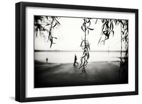 Weeping Willow Tree Leaves-Sharon Wish-Framed Photographic Print