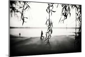 Weeping Willow Tree Leaves-Sharon Wish-Mounted Photographic Print