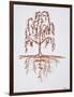 Weeping willow with heart and soul-Richard Lawrence-Framed Photographic Print