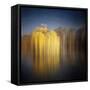 Weeping Willow-Philippe Sainte-Laudy-Framed Stretched Canvas