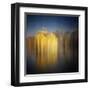 Weeping Willow-Philippe Sainte-Laudy-Framed Premium Photographic Print