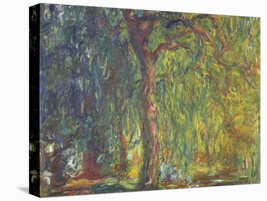 Weeping Willow-Claude Monet-Stretched Canvas