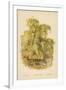 Weeping Willow-William Henry James Boot-Framed Giclee Print