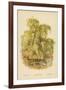 Weeping Willow-William Henry James Boot-Framed Giclee Print