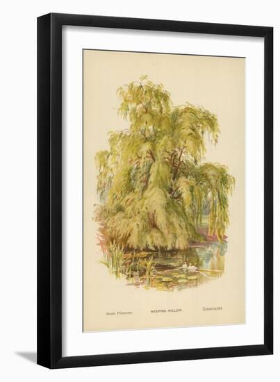 Weeping Willow-William Henry James Boot-Framed Giclee Print