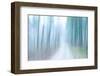 Weeping Wind-Jacob Berghoef-Framed Photographic Print