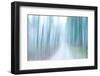 Weeping Wind-Jacob Berghoef-Framed Photographic Print