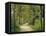 Weg, Birken, Allee, Frv¼hling, Natur, Waldweg, Birkenallee-Thonig-Framed Stretched Canvas