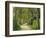 Weg, Birken, Allee, Frv¼hling, Natur, Waldweg, Birkenallee-Thonig-Framed Photographic Print