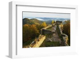 Wegelnburg Castle, Palatinate Forest, Rhineland-Palatinate, Germany, Europe-Jochen Schlenker-Framed Photographic Print