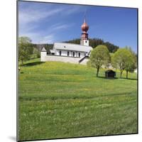 Wehrkirche Church, Urach, Urachtal Valley in Spring, Black Forest, Baden Wurttemberg, Germany-Markus Lange-Mounted Photographic Print