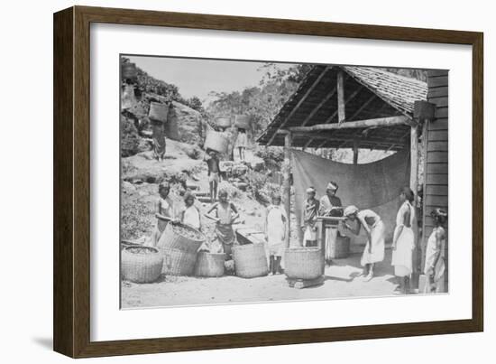 Weighing Ceylon Tea-null-Framed Art Print