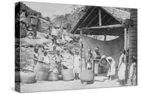 Weighing Ceylon Tea-null-Stretched Canvas