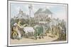 Weighing the Jockeys and Rubbing Down the Horses Before a Race-Thomas Rowlandson-Mounted Art Print