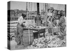 Weighing Up the Catch, Gloucester, Mass.-null-Stretched Canvas