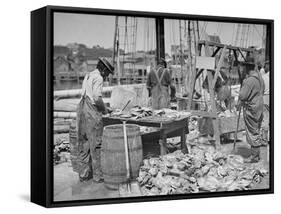 Weighing Up the Catch, Gloucester, Mass.-null-Framed Stretched Canvas