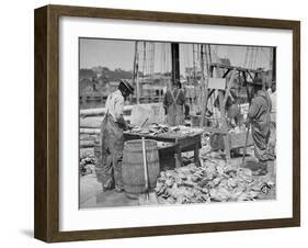 Weighing Up the Catch, Gloucester, Mass.-null-Framed Photo