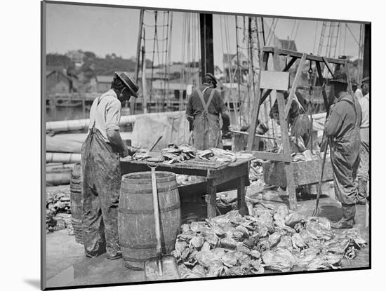 Weighing Up the Catch, Gloucester, Mass.-null-Mounted Photo