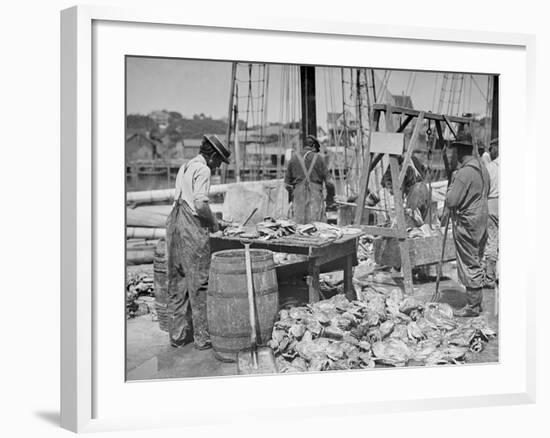 Weighing Up the Catch, Gloucester, Mass.-null-Framed Photo