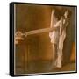 Weight Reducer-null-Framed Stretched Canvas