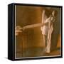 Weight Reducer-null-Framed Stretched Canvas