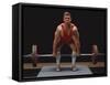 Weightlifter in Action-null-Framed Stretched Canvas