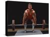 Weightlifter in Action-null-Stretched Canvas