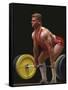 Weightlifter in Action-null-Framed Stretched Canvas