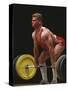 Weightlifter in Action-null-Stretched Canvas