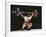 Weightlifter in Action-null-Framed Photographic Print