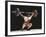 Weightlifter in Action-null-Framed Photographic Print