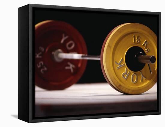 Weightlifting Equipment-Paul Sutton-Framed Stretched Canvas