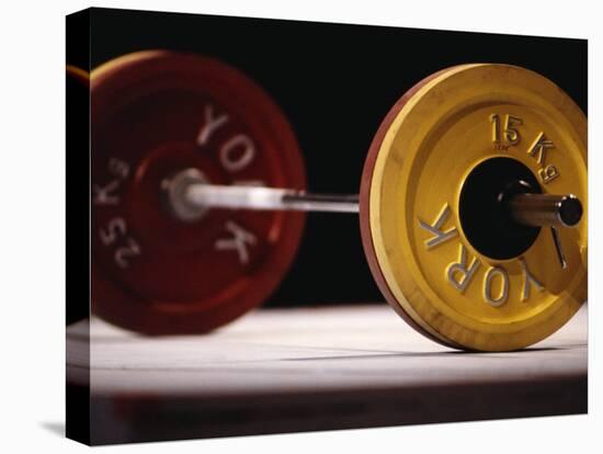 Weightlifting Equipment-Paul Sutton-Stretched Canvas