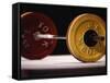 Weightlifting Equipment-Paul Sutton-Framed Stretched Canvas