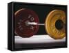 Weightlifting Equipment-Paul Sutton-Framed Stretched Canvas