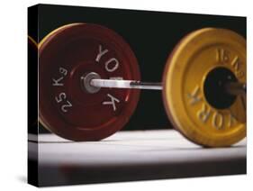 Weightlifting Equipment-Paul Sutton-Stretched Canvas