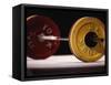 Weightlifting Equipment-Paul Sutton-Framed Stretched Canvas