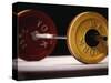 Weightlifting Equipment-Paul Sutton-Stretched Canvas