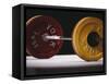 Weightlifting Equipment-Paul Sutton-Framed Stretched Canvas