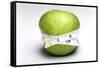 Weightloss, Conceptual Image-Victor De Schwanberg-Framed Stretched Canvas