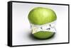 Weightloss, Conceptual Image-Victor De Schwanberg-Framed Stretched Canvas