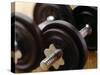 Weights-Chris Trotman-Stretched Canvas