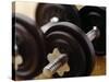 Weights-Chris Trotman-Stretched Canvas