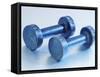 Weights-Chris Trotman-Framed Stretched Canvas