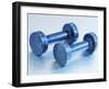 Weights-Chris Trotman-Framed Premium Photographic Print