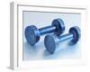 Weights-Chris Trotman-Framed Premium Photographic Print