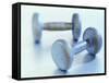 Weights-Chris Trotman-Framed Stretched Canvas