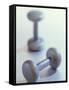 Weights-Chris Trotman-Framed Stretched Canvas